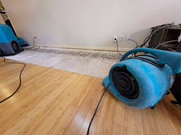 Professional Structural Drying technician working in Mount Wolf, PA